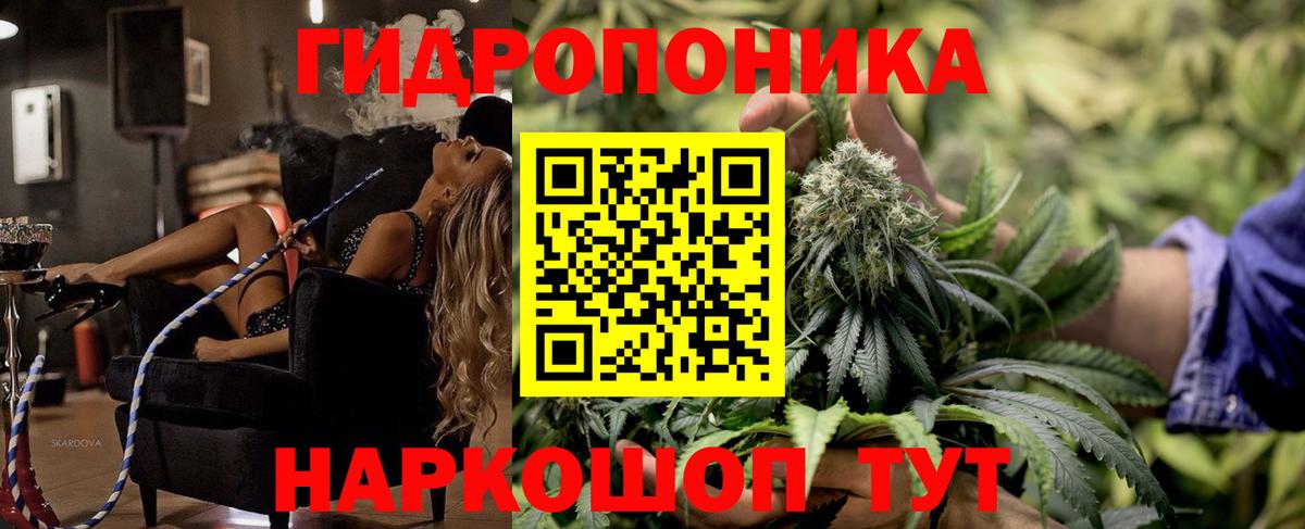 Шишки марихуана марихуана  Марихуана индика  Бошки марихуана планчик  Вход с VPN  Каннабис OG Kush  Ишимбай 